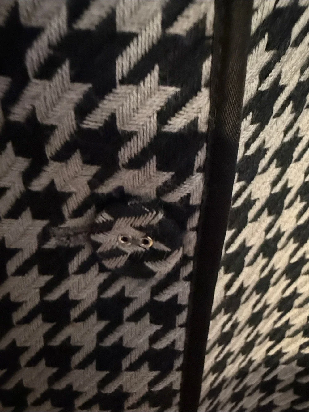 Monterey Bay Houndstooth Blazer Black Gray Piped Trim Tailored Sz 16 - Picture 5 of 9